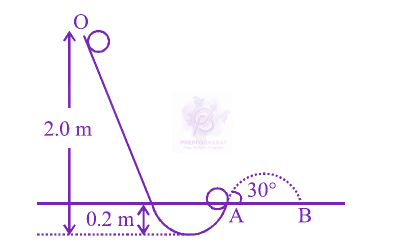 JEE Main 2013 Physics, Rotational Motion — question figure