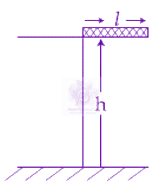 JEE Main 2019 Physics, Rotational Motion — question figure