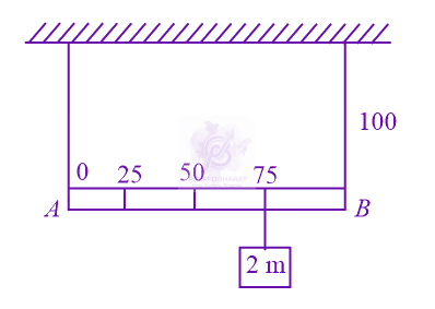 JEE Main 2020 Physics, Rotational Motion — question figure