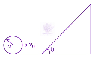 JEE Main 2021 Physics, Rotational Motion — question figure