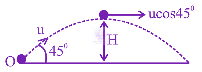JEE Main 2024 Physics, Rotational Motion — solution figure