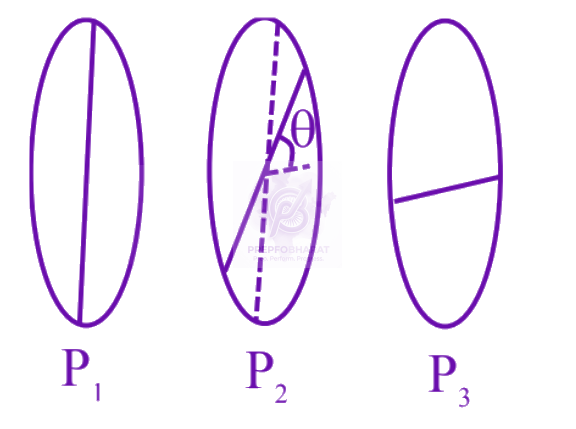 JEE Main 2025 Physics, Wave Optics — solution figure