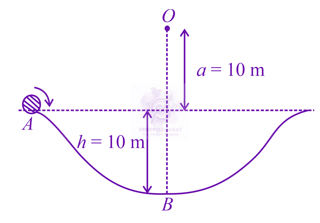 JEE Main 2019 Physics, Work Power Energy — question figure