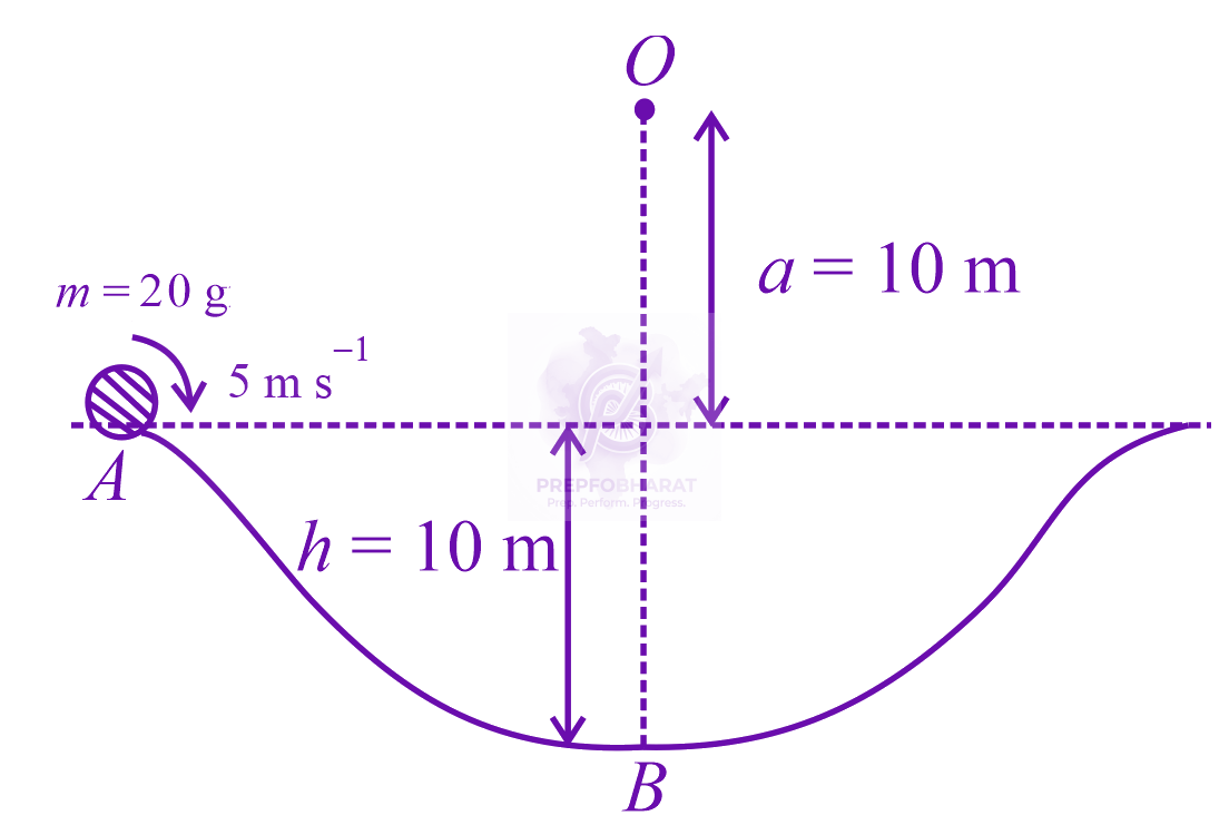 JEE Main 2019 Physics, Work Power Energy — solution figure