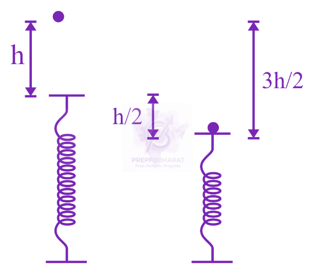 JEE Main 2022 Physics, Work Power Energy — solution figure