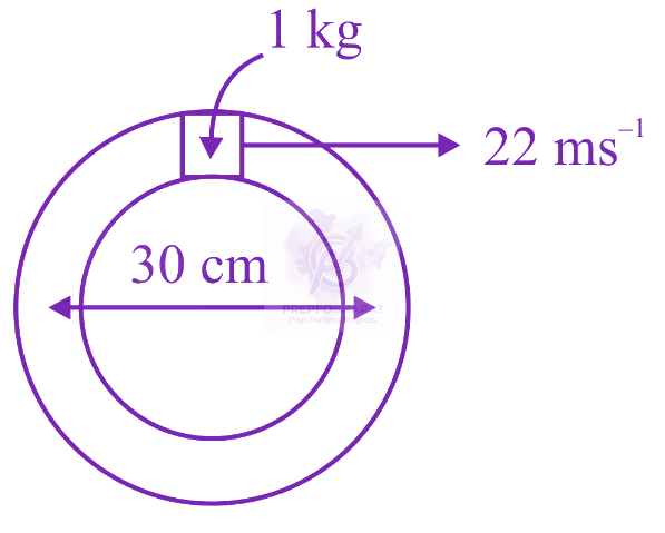 JEE Main 2023 Physics, Work Power Energy — question figure