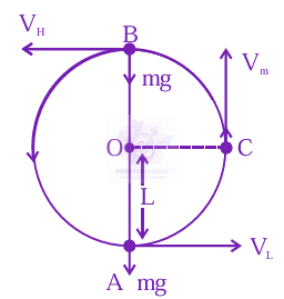 JEE Main 2024 Physics, Work Power Energy — question figure