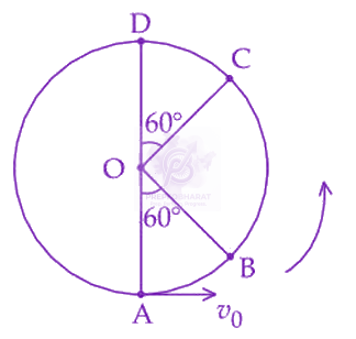 JEE Main 2025 Physics, Work Power Energy — question figure