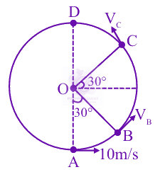JEE Main 2025 Physics, Work Power Energy — solution figure