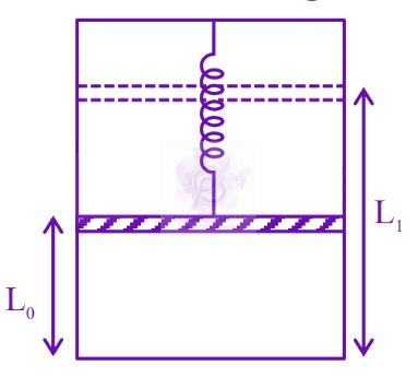 JEE Main 2025 Physics, Work Power Energy — question figure