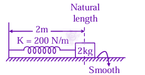 JEE Main 2025 Physics, Work Power Energy — solution figure