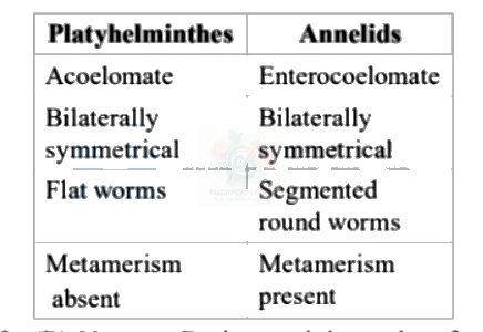 NEET 2005 Botany, Animal Kingdom — solution figure