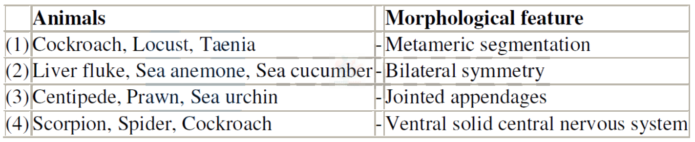 NEET 2008 Botany, Animal Kingdom — question figure
