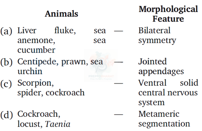 NEET 2008 Botany, Animal Kingdom — question figure