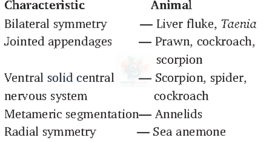 NEET 2008 Botany, Animal Kingdom — solution figure