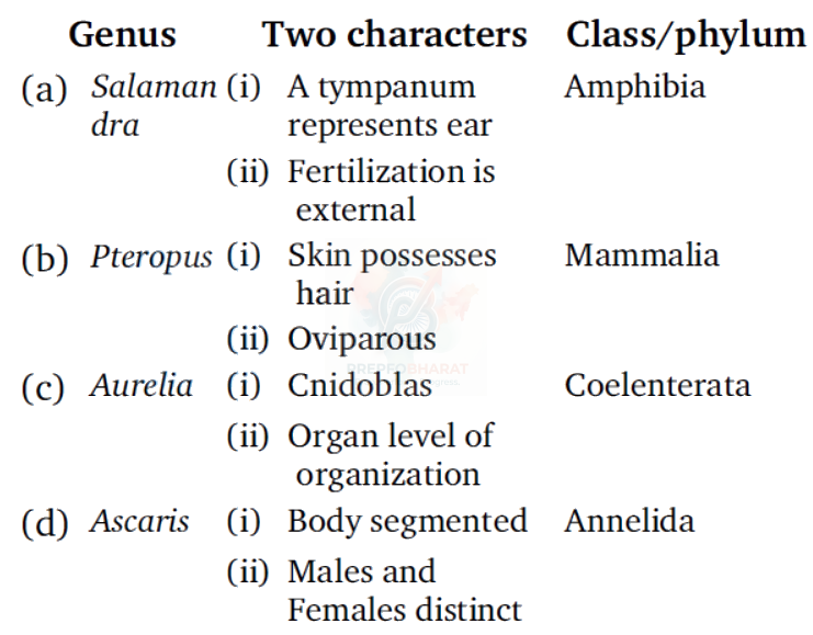 NEET 2011 Botany, Animal Kingdom — question figure
