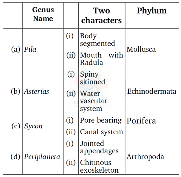 NEET 2012 Botany, Animal Kingdom — question figure