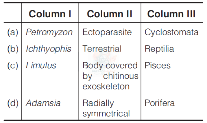 NEET 2013 Botany, Animal Kingdom — question figure