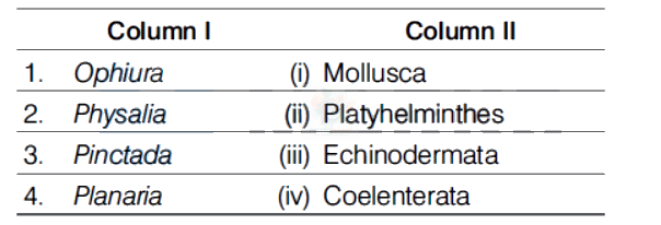NEET 2019 Botany, Animal Kingdom — question figure