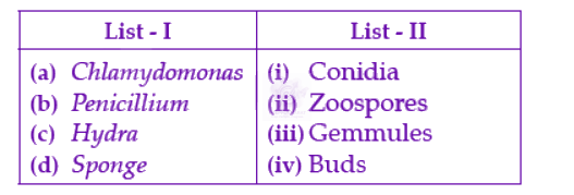 NEET 2022 Botany, Animal Kingdom — question figure