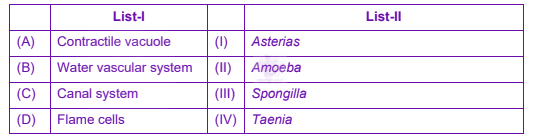 NEET 2023 Botany, Animal Kingdom — question figure
