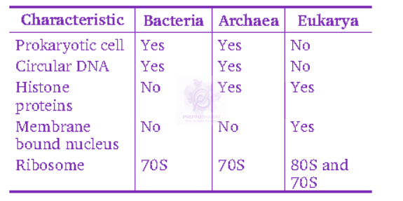 NEET 2008 Botany, Biological Classification — solution figure