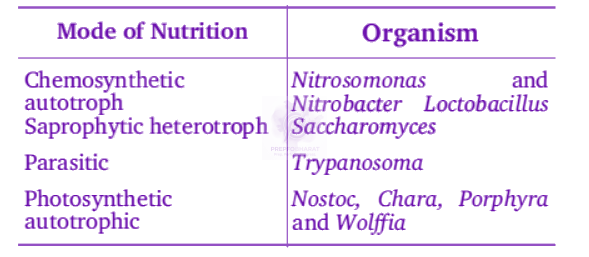NEET 2012 Botany, Biological Classification — solution figure