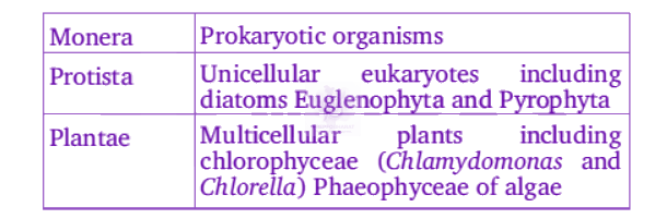NEET 2012 Botany, Biological Classification — solution figure
