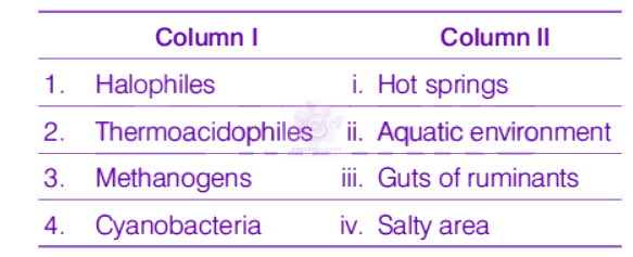 NEET 2019 Botany, Biological Classification — question figure