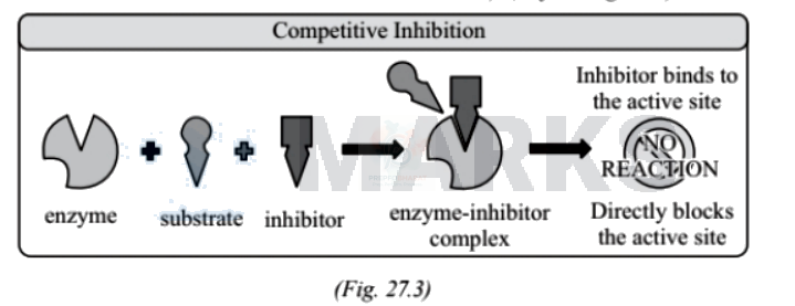 NEET 2005 Botany, Biomolecules (B) — solution figure