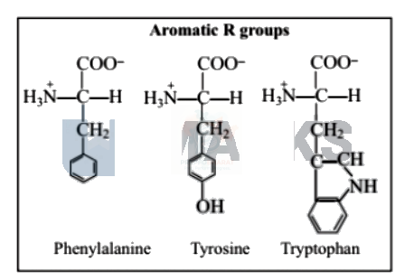 NEET 2005 Botany, Biomolecules (B) — solution figure 2
