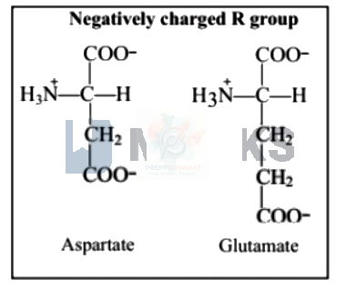 NEET 2005 Botany, Biomolecules (B) — solution figure 5