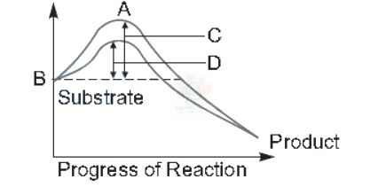 NEET 2010 Botany, Biomolecules (B) — question figure