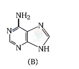 NEET 2011 Botany, Biomolecules (B) — question figure 2