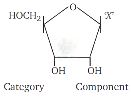 NEET 2012 Botany, Biomolecules (B) — question figure 1