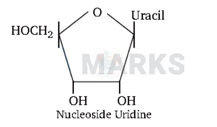 NEET 2012 Botany, Biomolecules (B) — solution figure