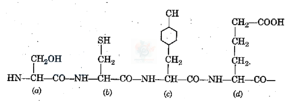 NEET 2013 Botany, Biomolecules (B) — question figure