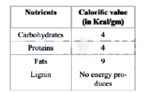 NEET 2013 Botany, Biomolecules (B) — solution figure