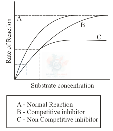 NEET 2015 Botany, Biomolecules (B) — solution figure