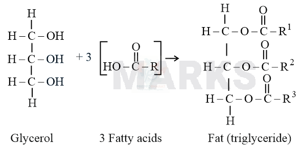 NEET 2016 Botany, Biomolecules (B) — solution figure