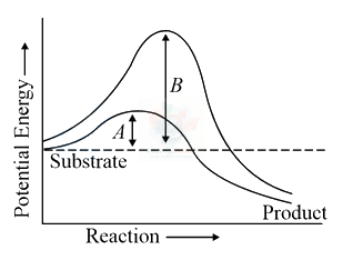 NEET 2016 Botany, Biomolecules (B) — question figure