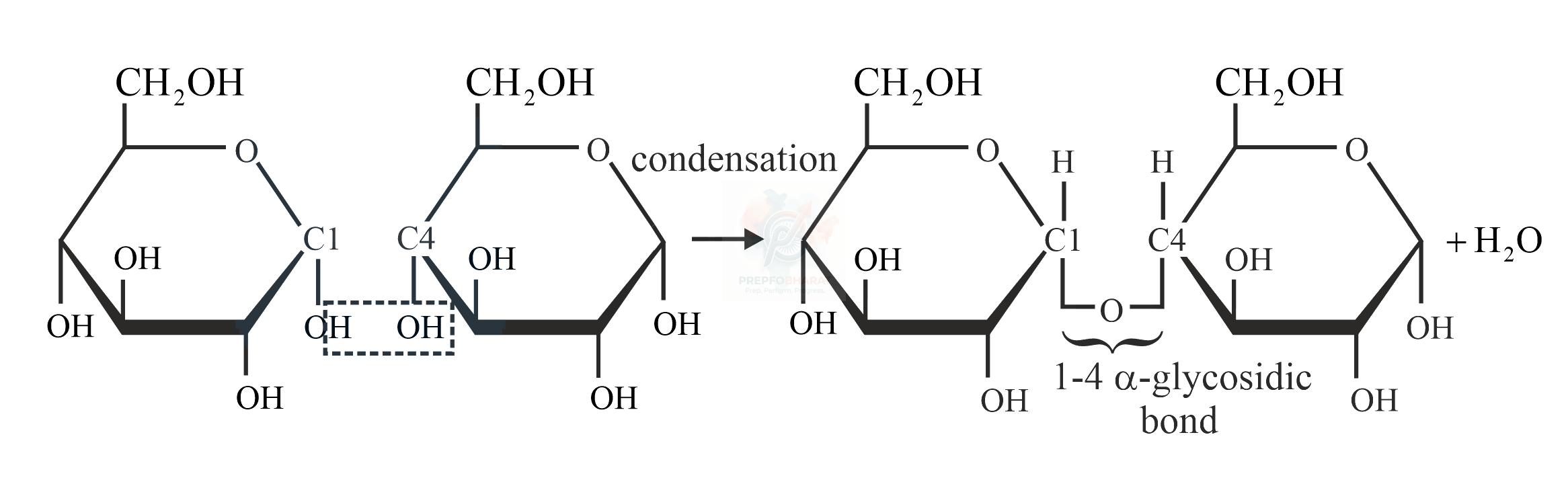 NEET 2022 Botany, Biomolecules (B) — solution figure