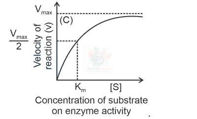 NEET 2024 Botany, Biomolecules (B) — solution figure