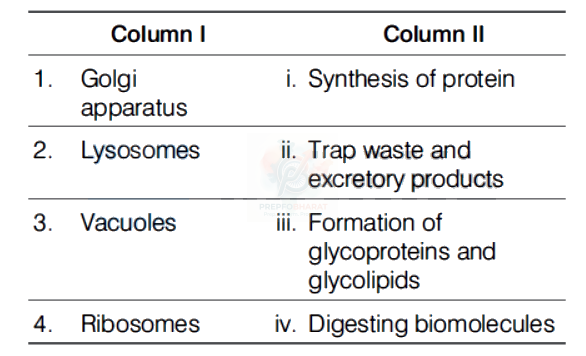 NEET 2019 Botany, Cell - The Unit of Life — question figure