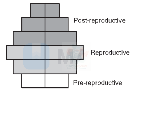 NEET 2011 Botany, Ecosystem — question figure