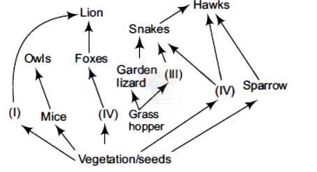 NEET 2012 Botany, Ecosystem — question figure 1
