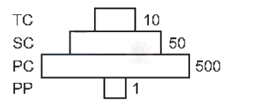 NEET 2012 Botany, Ecosystem — question figure