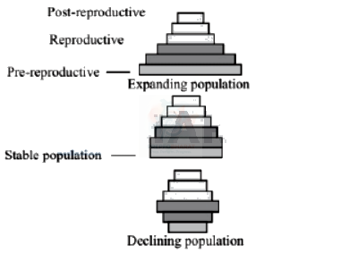 NEET 2013 Botany, Ecosystem — solution figure