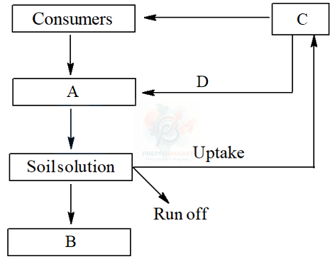 NEET 2014 Botany, Ecosystem — question figure
