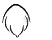 NEET 2010 Botany, Morphology of Flowering Plants — option A figure